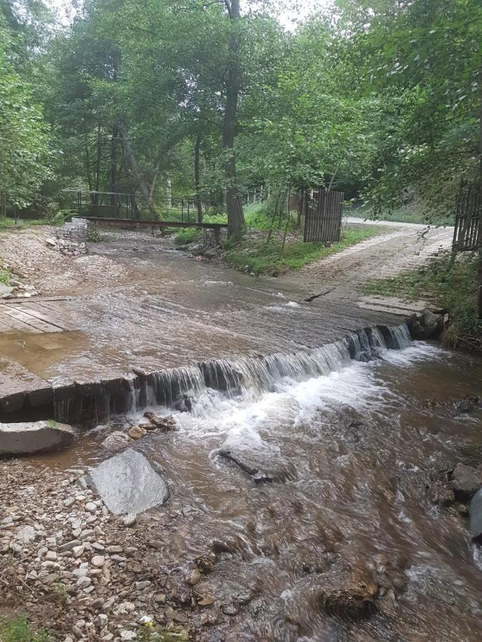 Pensiunea Valea Tonii Strungari Exterior foto